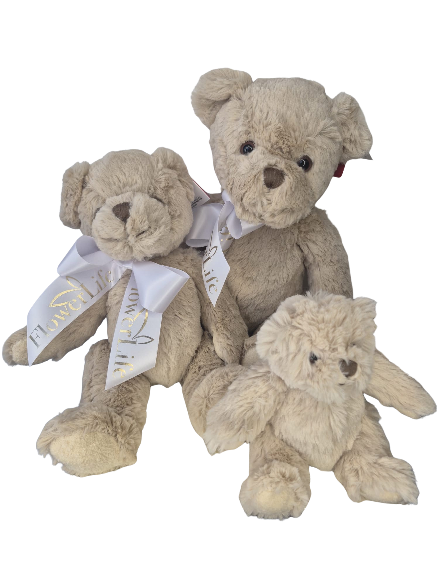Bartley Teddy Bear