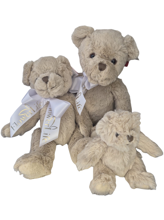 Bartley Teddy Bear