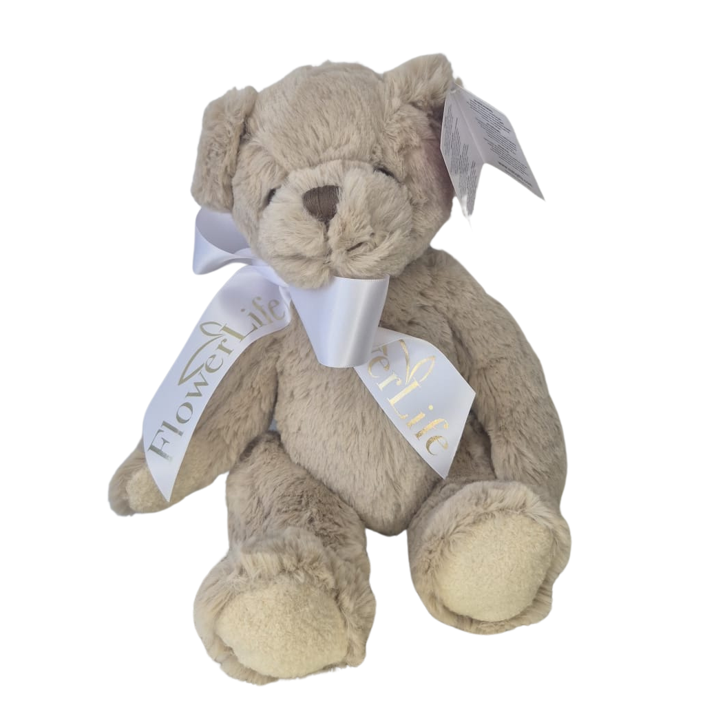 Bartley Teddy Bear